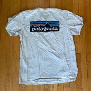 Patagonia Logo T shirt (M)